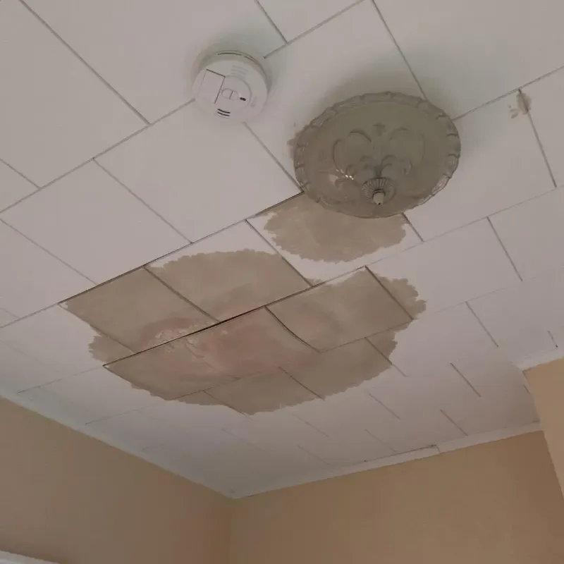 Ceiling Water Damage Repair in Edgewater Park, NJ