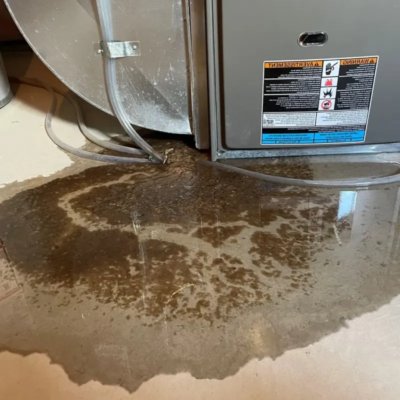 Pipe Burst and Leak Restoration in Edgewater Park, NJ